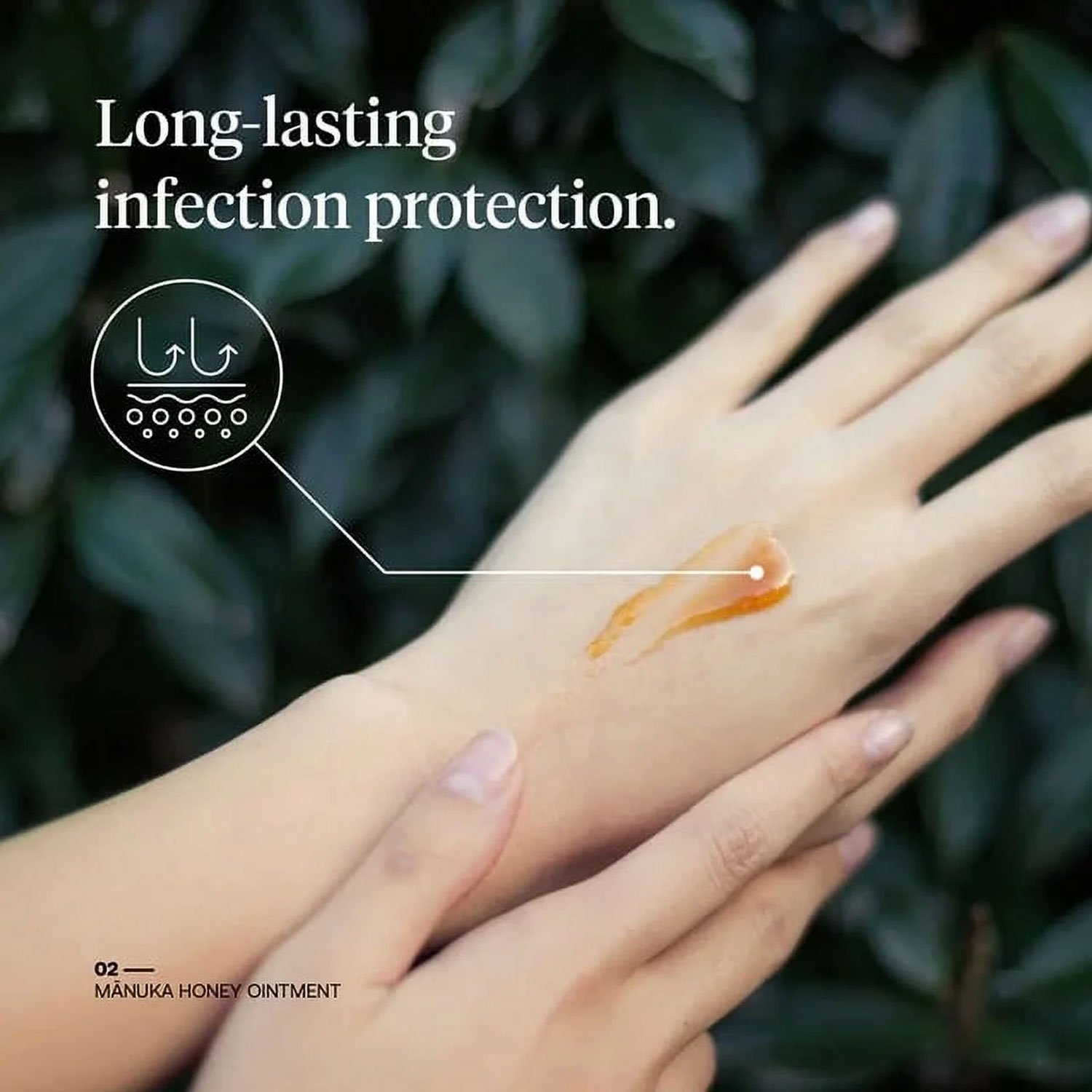 First Honey Manuka Ointment Medical Grade Liquid Wound Antiseptic Dressing — изображение 2